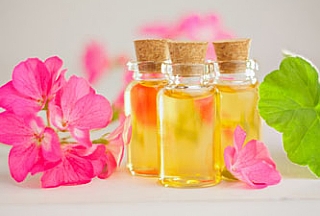 שמן גרניום - הכירו את סגולותיו של צמח הגרניום