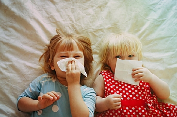 מה ההבדל בין וירוס לחיידק