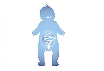 התפתחות מערכת העיכול אצל תינוקות התפתחות מערכת העיכול אצל תינוקות