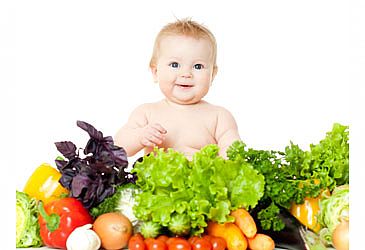 פירמידת המזון לתינוקות ולפעוטות פירמידת המזון לתינוקות ולפעוטות