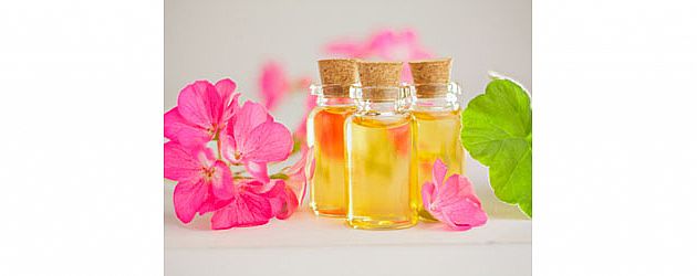 שמן גרניום - הכירו את סגולותיו של צמח הגרניום שמן גרניום - הכירו את סגולותיו של צמח הגרניום