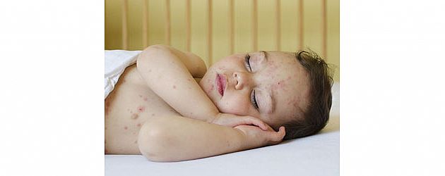 כל מה שכדאי לדעת על אדמדמת אביבית כל מה שכדאי לדעת על אדמדמת אביבית